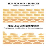 Skin rich with ceramides are healthy, hydrated skin cells vs skin low with ceramides have fine lines and wrinkles, loss of firmness, roughness