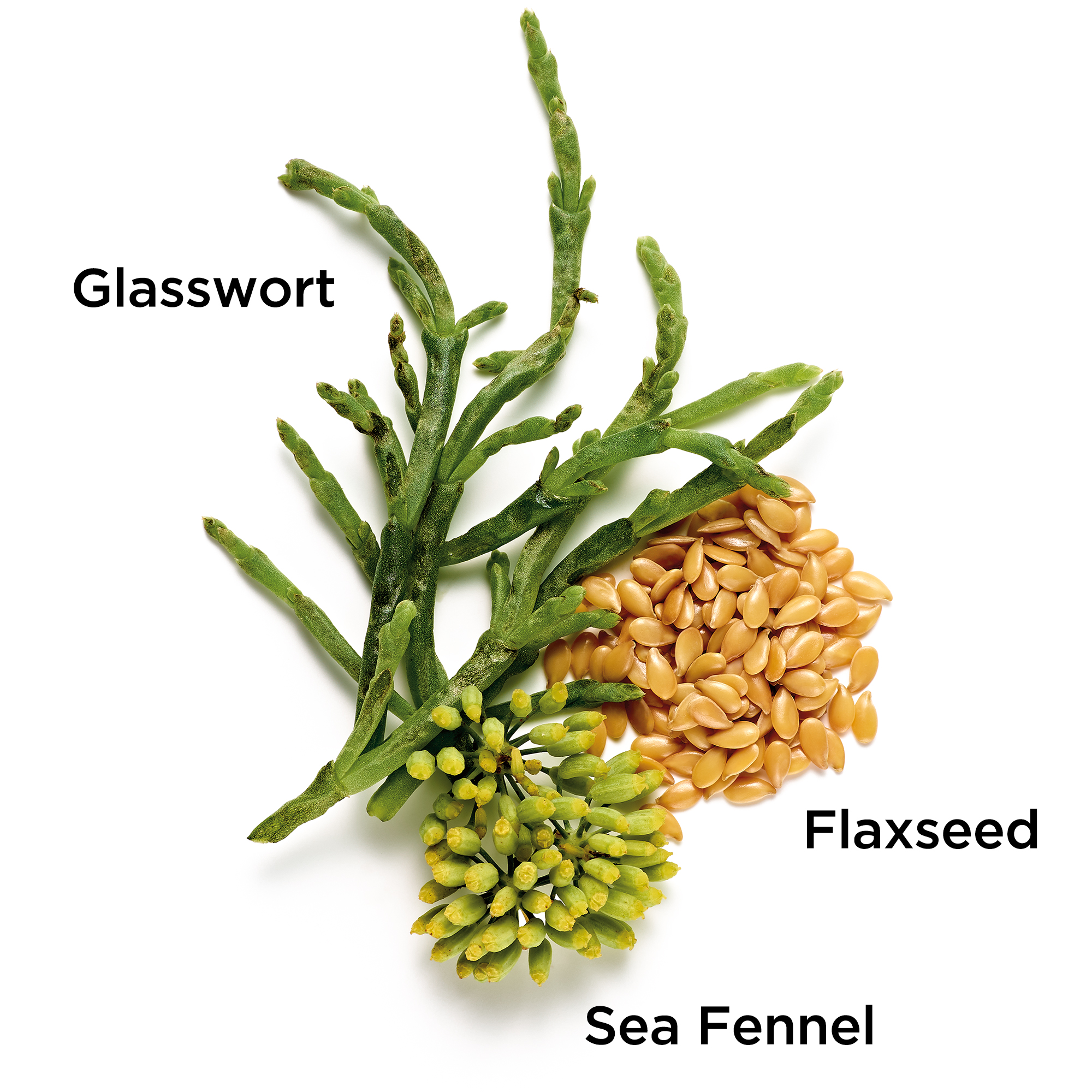 Superstart Booster Key Ingredients: Glasswort, Sea Fennel, and Flaxseed